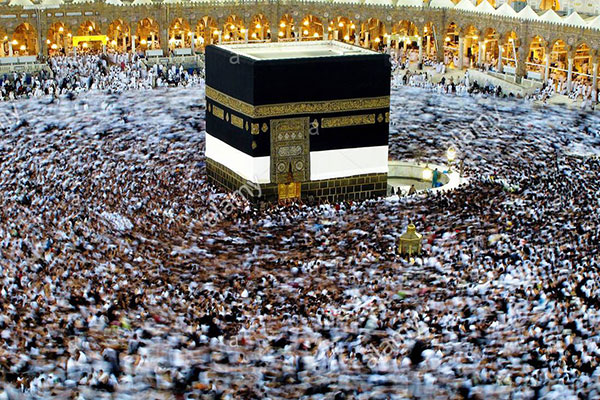 قیمت حج دردسرساز شد قیمت حج دردسرساز شد