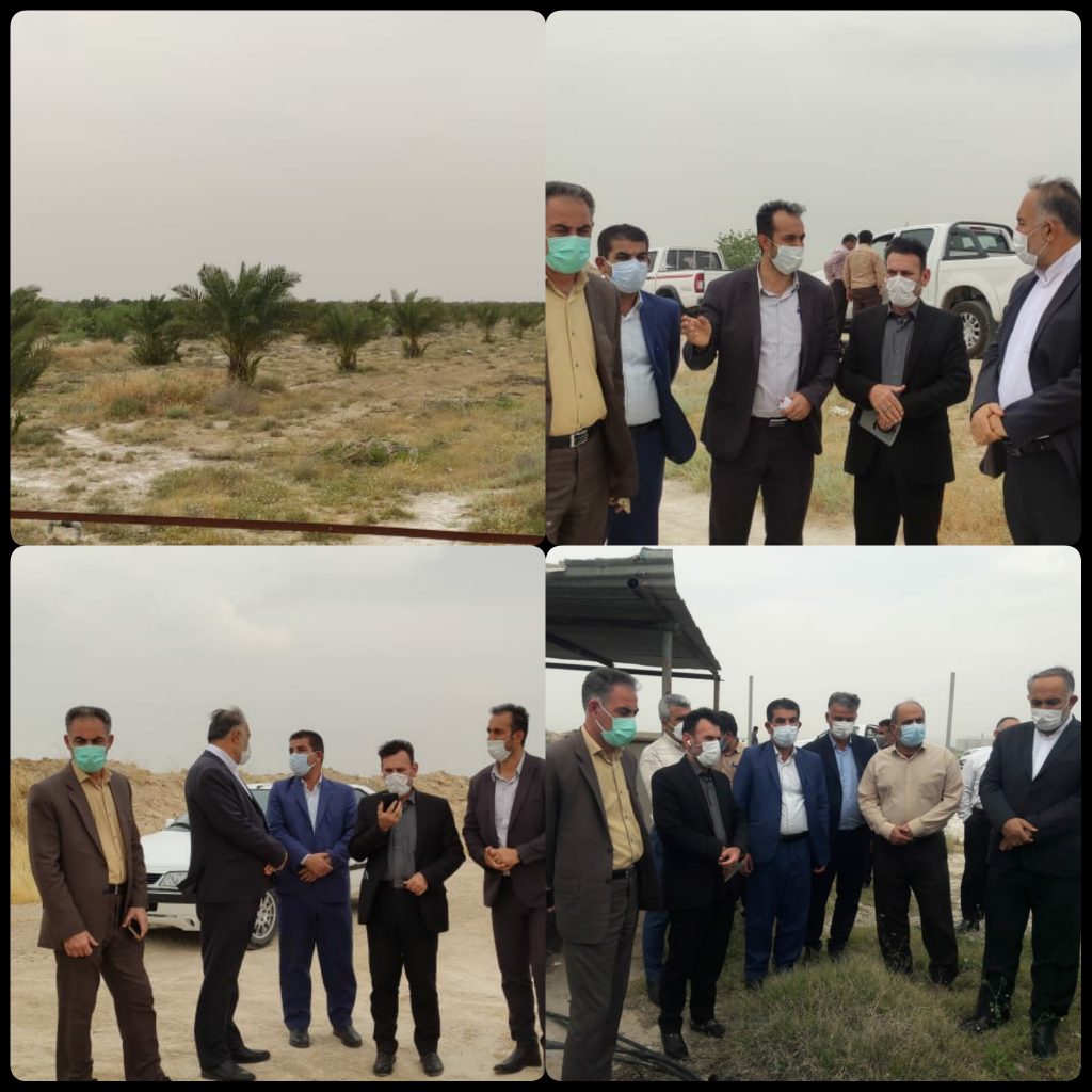 بازدید مدیرکل امور عشایر خوزستان به همراه ابراهیم متینیان از طرح ۱۰۰ هکتاری نخیلات بنه حاج چراغ اداره امور عشایر رامهرمز