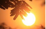 شرجی و رخداد دمای بالای ۴۹ درجه در خوزستان